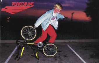 peregrine 1987 catalog