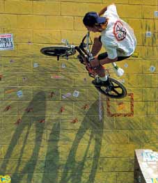 Dirt bros bmx hot sale