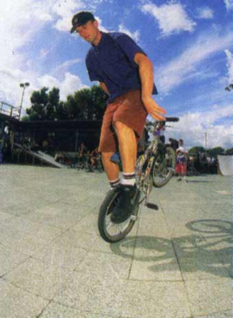 james white 1994 koc